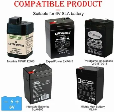 6V 0.6A Battery Charger for Moultrie and Other 6V Devices photo 5