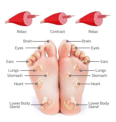 EMS Foot and Leg Massager with Remote, 6 Modes, 15 Intensities photo 6