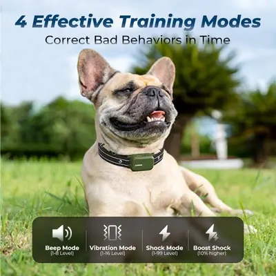 Jugbow DT-61 Remote Dog Training Collar, 4200 ft Range photo 2