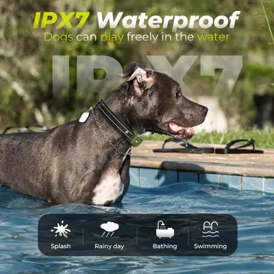 Jugbow DT-61 Remote Dog Training Collar, 4200 ft Range photo 4