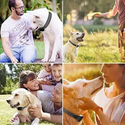 Rechargeable Dog Bark Training Collar for All Sizes photo 10