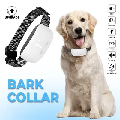 Rechargeable Dog Bark Training Collar for All Sizes photo 5