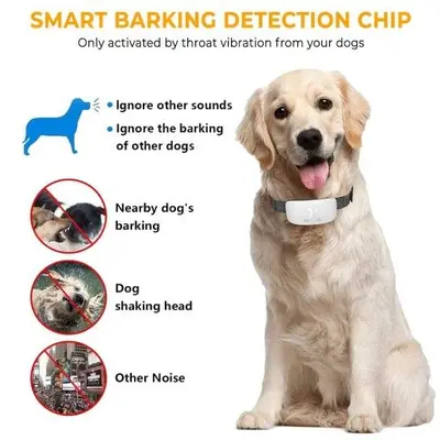 Rechargeable Dog Bark Training Collar for All Sizes photo 9