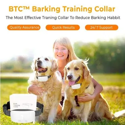 Rechargeable Dog Bark Training Collar for All Sizes photo 4