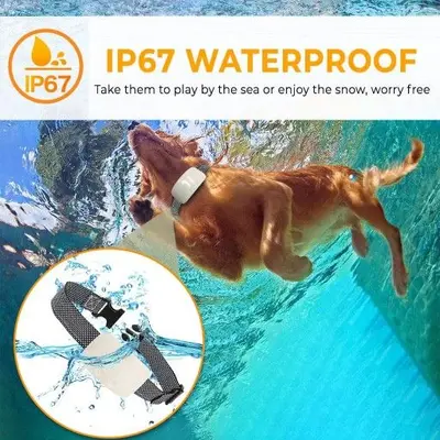 Rechargeable Dog Bark Training Collar for All Sizes photo 7