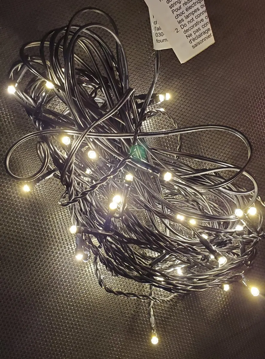 Indoor/Outdoor LED Christmas Lights on Dark Green Cable