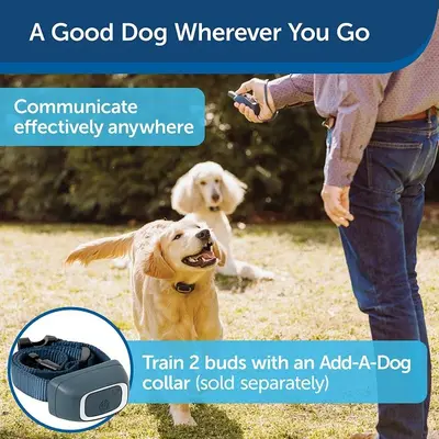 PetSafe 900-Yard Remote Training Collar: Tone, Vibration, 15 Levels photo 3