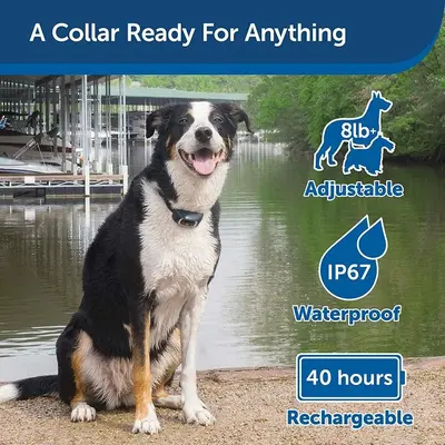 PetSafe 900-Yard Remote Training Collar: Tone, Vibration, 15 Levels photo 6