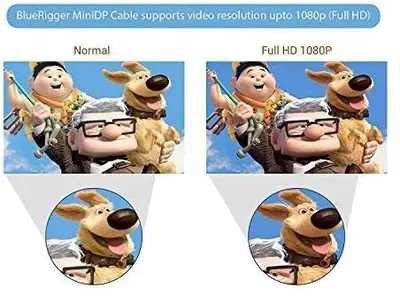 BlueRigger Mini DisplayPort to HDMI Female Adapter Cable photo 6
