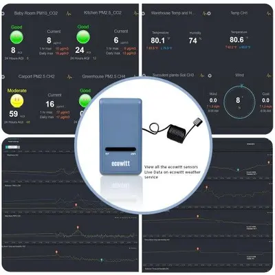 Ecowitt GW1100 WiFi Gateway with Temperature, Humidity and Pressure Sensors photo 6