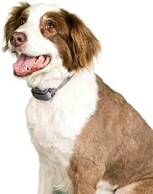Premier Pet 300-Yard Remote Dog Trainer with Tone, Vibration photo 7