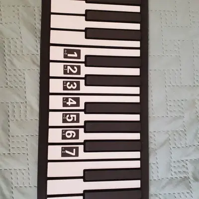 ANDSF 88-Key Roll-Up Portable Electronic Piano, Upgraded photo 3