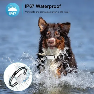 Rechargeable Dog Bark Collar with Beep, Vibration and Shock photo 8