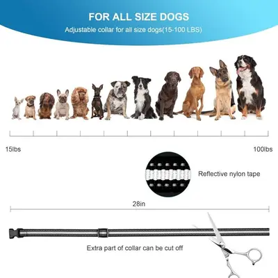 Rechargeable Dog Bark Collar with Beep, Vibration and Shock photo 9