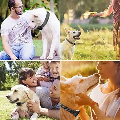 NBJU Rechargeable Anti-Bark Dog Collar, 7 Adjustable Levels photo 7