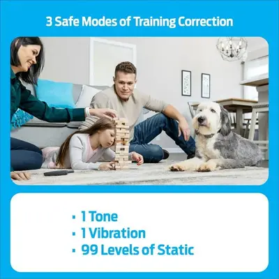 Premier Pet 300-Yard Remote Dog Trainer for All Sizes photo 8
