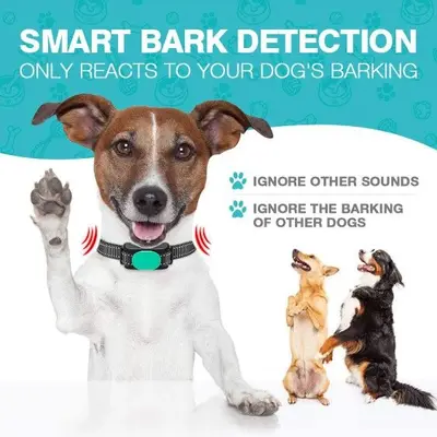 Humane Rechargeable Dog Bark Collar with 3 Beep/Vibration Modes photo 5