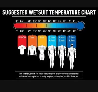Body Glove Women's Wetsuit, Size 5-6 photo 5