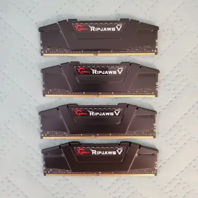 G.Skill Ripjaws V 64GB (4x16GB) DDR4-3200 PC4-25600 Desktop Memory