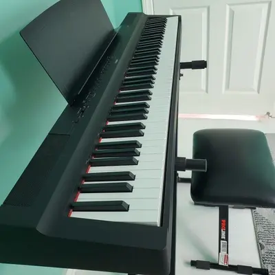 Yamaha P-125B Digital Piano with Proline PL4KD Double-Braced Stand photo 2