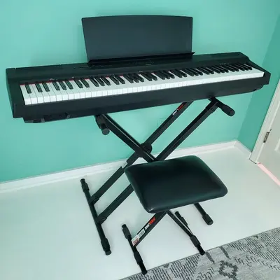 Yamaha P-125B Digital Piano with Proline PL4KD Double-Braced Stand