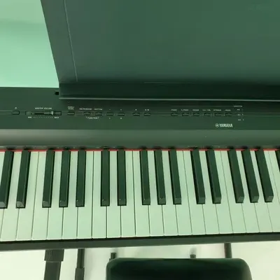 Yamaha P-125B Digital Piano with Proline PL4KD Double-Braced Stand photo 3