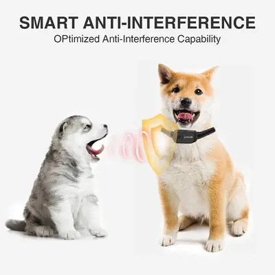 Rechargeable Humane Dog Bark Collar, 2 Modes (No Shock) photo 6