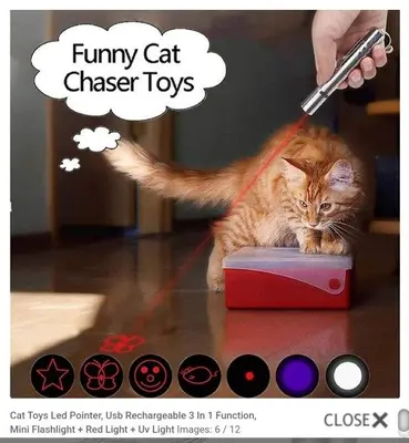 USB Rechargeable 3-in-1 Cat Toy LED Pointer and Mini Flashlight photo 5