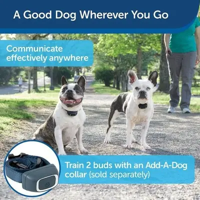 PetSafe Lite Remote Dog Trainer Collar, 100 Yards photo 5