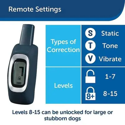 PetSafe Lite Remote Dog Trainer Collar, 100 Yards photo 10
