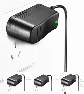 8.4V 1A Li-Ion Charger Adapter with LED Indicator photo 4