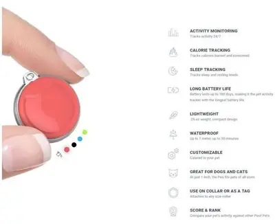 Poof Pea Waterproof Pet Activity Tracker, Lime photo 4
