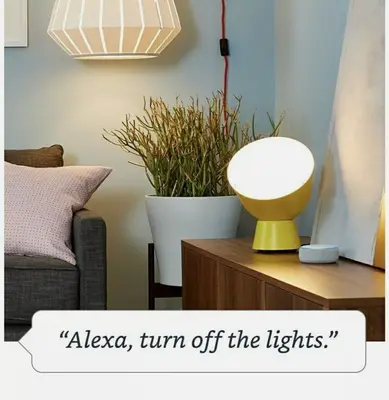 Amazon Smart Plug, Works with Alexa photo 3