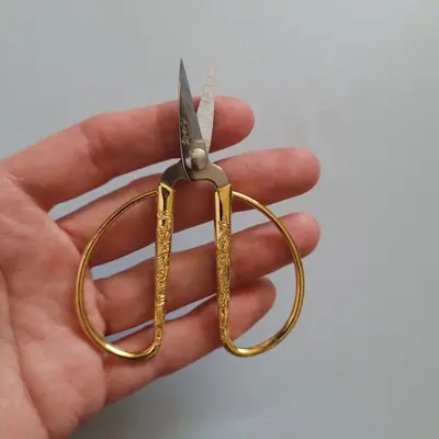 Scissors photo 2