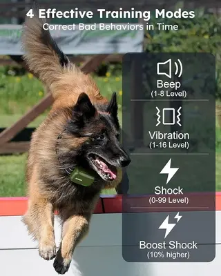 Jugbow Dual Dog Shock Collar for 2 Dogs, 4200 ft Remote Trainer photo 4