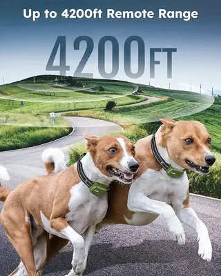 Jugbow Dual Dog Shock Collar for 2 Dogs, 4200 ft Remote Trainer photo 5