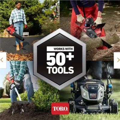 Toro 60V 1A Flex-Force Lithium-Ion Battery Charger photo 3
