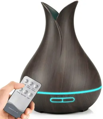 Remote for GANSS 400ml Essential Oil Diffuser photo 2