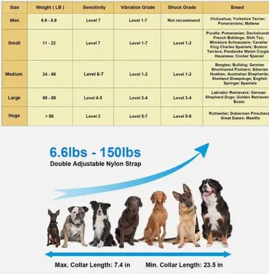 Bark Control Static Dog Collar with 4 Training Modes photo 7