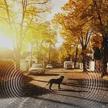 Barking Box Anti-Bark Device for Dogs, 50 ft Range, 3 Levels photo 8