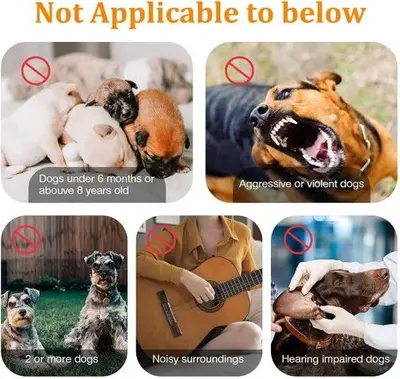 Ultrasonic Outdoor Anti-Barking Dog Bark Deterrent photo 9