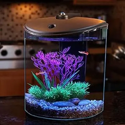 ASZEL24 LED Clip-On Aquarium Light with Built-In Timer photo 2