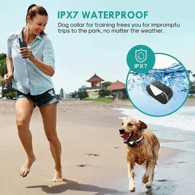 Rechargeable Dog Training Shock Collar with 2600 ft Remote photo 8