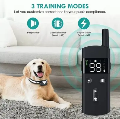 Rechargeable Dog Training Shock Collar with 2600 ft Remote photo 9